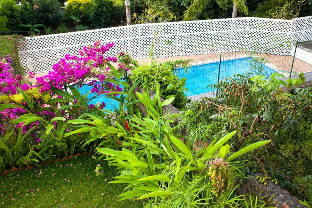 Vue Lagon Et Moorea Taapuna Ngoại thất bức ảnh